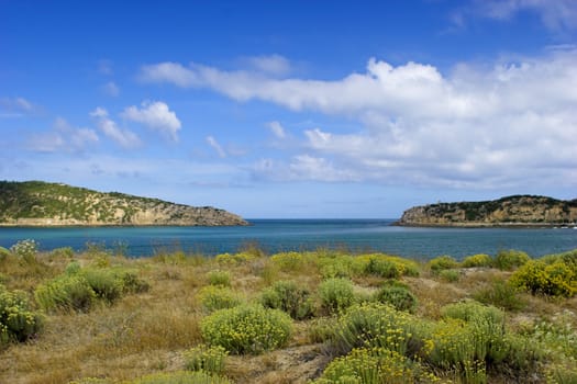 Beautiful blue bay with green bushes in the dunes