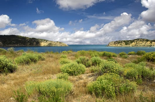 Beautiful blue bay with green bushes in the dunes