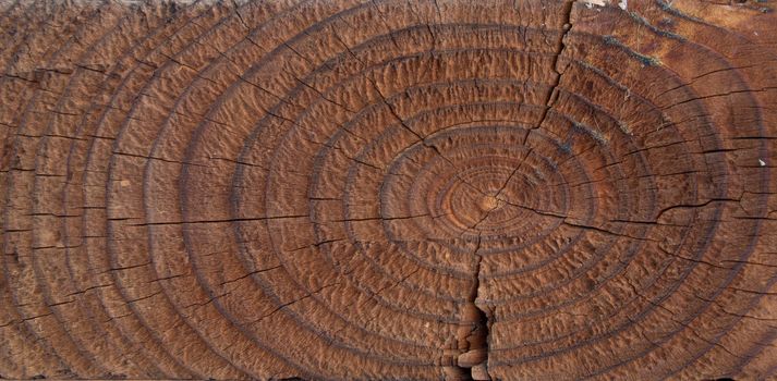 Texture of the old weathered wooden plank