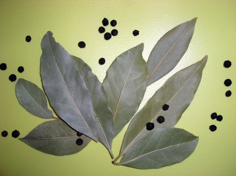 Bay leaves und some peppercorns on lime background. 
bay leaf enhances the flavour of a meal and is an ancient symbol of prosperity and success. laurus nobilis