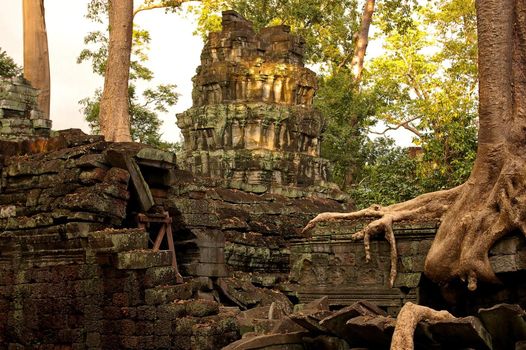 Trees intertwined with the ruins of Bayon temple, Siem Reap, Cambodia.