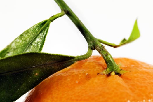 orange ripe mandarin on white background