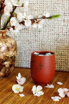 tea with apricot flowers and white teapot