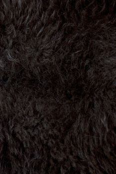 Dark brown and black wool background or texture