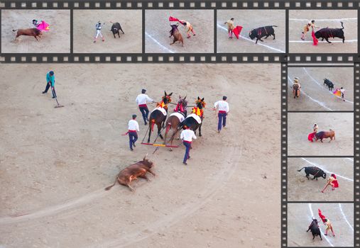 Bullfight - the one of the most controversial events in the world. Some factual images of a bullfight in Madrid, Spain on OCTOBER 1, 2010. 
