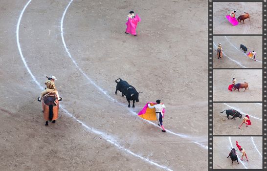 Bullfight - the one of the most controversial events in the world. Some factual images of a bullfight in Madrid, Spain on OCTOBER 1, 2010. 
