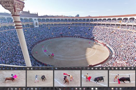 Madrid - OCTOBER 1: The huge crowd jammed in the famous Plaza de Toros are watching the bullfight on OCTOBER 1, 2010 in Madrid. Spain.