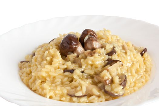 plate of risotto with porciini mushrooms isolated on white background with clipping path