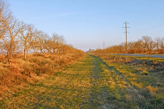 Wide rural dirt road overgrown with grass during sunset