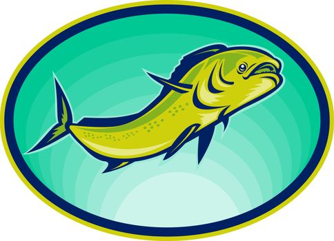 illustration of a dolphin fish or mahi mahi swimming viewed from a low angle.