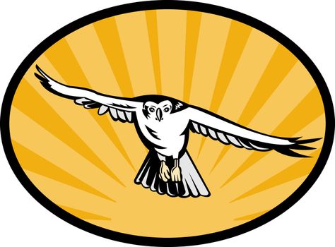 illustration of a goshawk bird swooping down