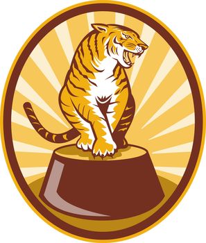 illustration of a Angry tiger sitting on top of plinth set inside an oval with sunburst