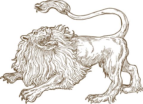 illustration of an Angry lion roaring looking up viewed from the side