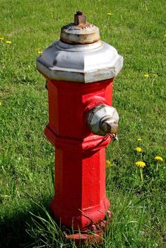 Vertical Bright red fire hydrant on grass