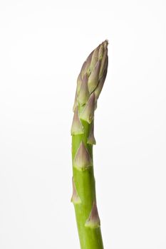 green asparagus isolated on white background