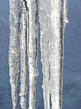 Close-up of large icicles melting showing every details of the light relfected by the ice with blue crusted snow as background