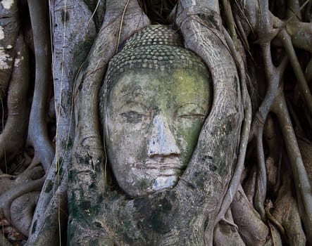 The Head of The Sand Stone Buddha Image