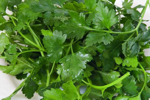 Closeup of fresh parsley on a dish
