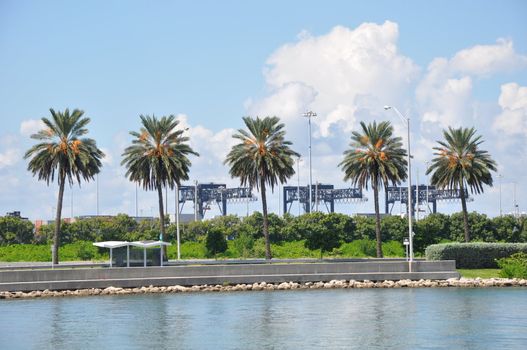 View of Miami in Florida