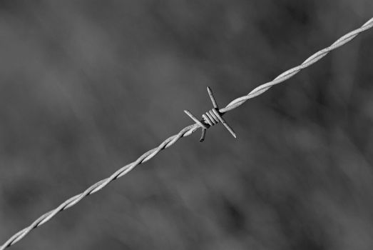 Black and white take of barbed wire on blurred background