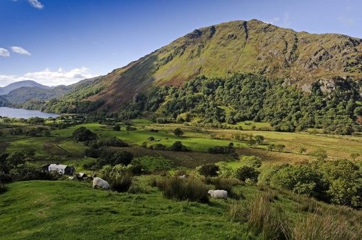 View of Llyn Gwynant in Snowdonia National Park Gwynedd North Wales
