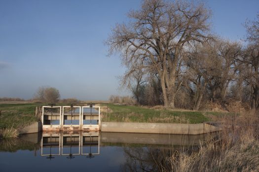 irrigation ditches with flowing water in northern Colorado, three headgates, lifting gear and foot bridge, spring time with green grass and cottonwood trees