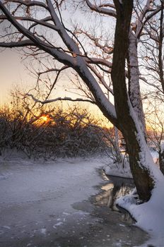 Beautiful winter sunset with a tree and a frozen river