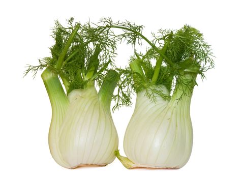 two fresh fennel isolated on white background