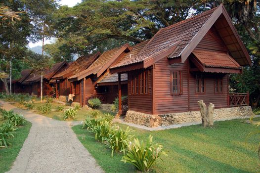 Wooden Houses in the park