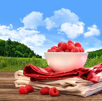 Bowl of raspberries on rustic table in a country setting