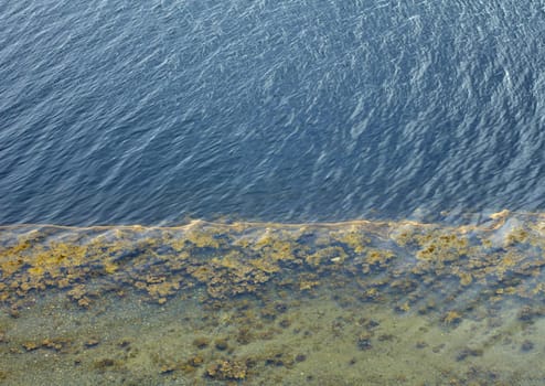 Coastal line of northern sea in outflow - the top view