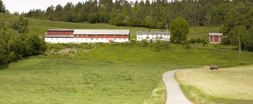 Norwegian farm, with house, cottage and barn. 