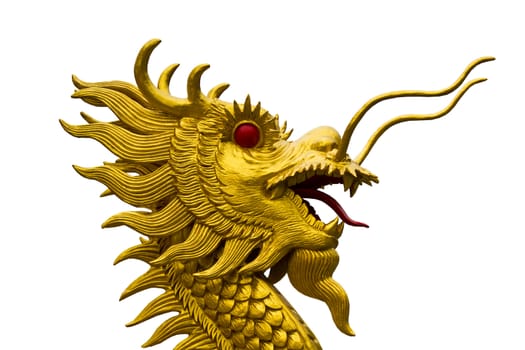 Golden dragon head  statue on white background