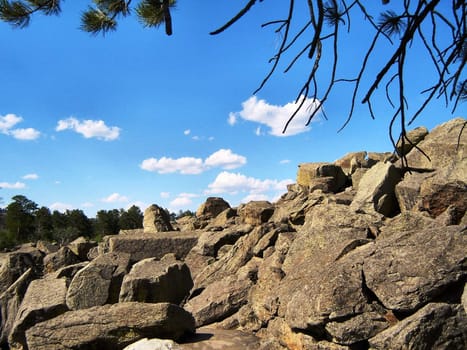 Rocks and trees