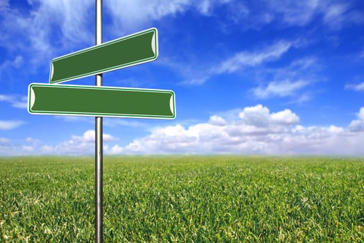 Blank Directional Signs in an Open Field of Grass and Sky