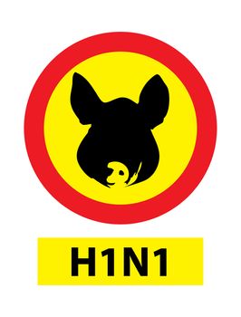 H1N1 aka Swine flu warning sign