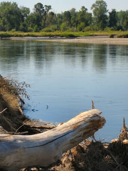 Rivers Trees and Rocks