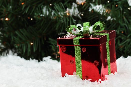 Beautiful red Christmas gift lies in the snow with a Christmas tree background. Shallow DOF.