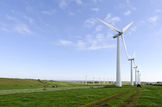 Power generation wind farm 35m in height to the hub and have a rotor diameter of 37m on Royd Moor