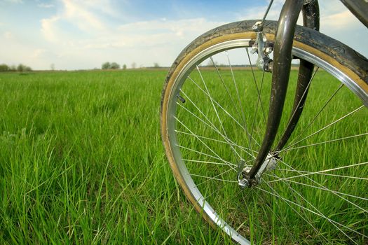 Bicycle wheel on a green field