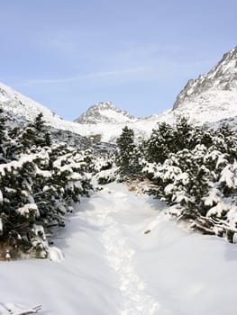 High tatra in the fresh winter snow