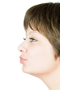 portrait kissing girls isolated on white background. Profile
