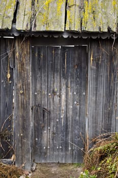 Old wooden door covered with moss and rust.