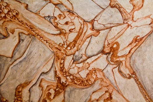 A brown marble surface for decorative works