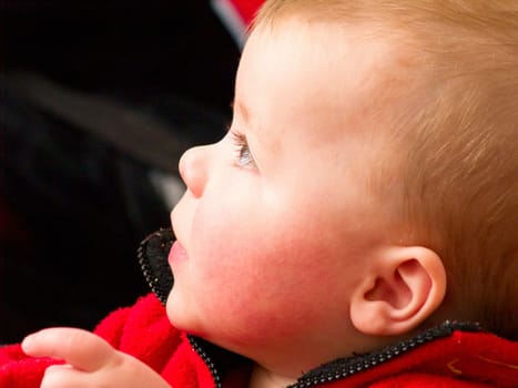 Modern baby boy looking up at copy space