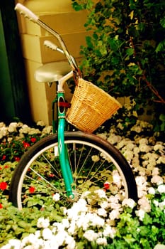 Garden Decoration style with a Cycle and flowers