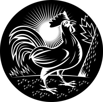 illustration of a Rooster cockerel crowing done in woodcut style and in black and white