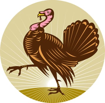 illustration of a Wild turkey walking side view done in retro woodcut style with sunburst in background