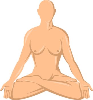 illustration of a female human anatomy yoga lotus  isolated on whte