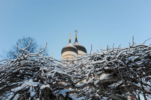 Church cupolas with cross and branches are covered hoarfrost